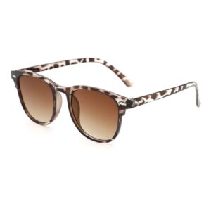 Gafas Jet Carey Grey Degrade Nude