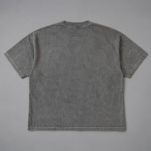 Remera Boxyfit Gris Washed Blanks — Prenda · espalda sobre fondo gris